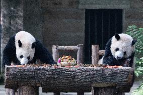 Giant Panda Celebrate Mid-Autumn Festival