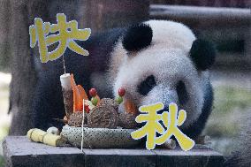 Giant Panda Celebrate Mid-Autumn Festival