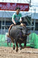 Buffalo Racing - Thailand