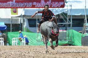 Buffalo Racing - Thailand