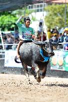 Buffalo Racing - Thailand