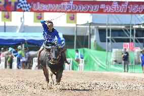 Buffalo Racing - Thailand