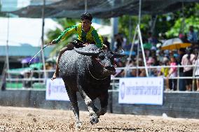 Buffalo Racing - Thailand