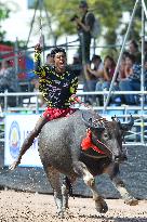 Buffalo Racing - Thailand