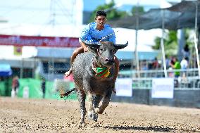Buffalo Racing - Thailand