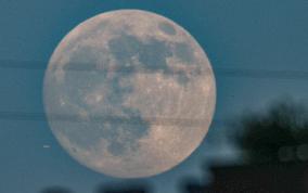 Mid-Autumn Festival Round Moon