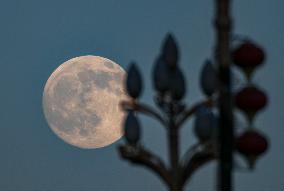 Mid-Autumn Festival Round Moon