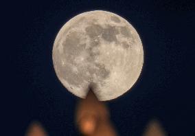 Mid-Autumn Festival Round Moon