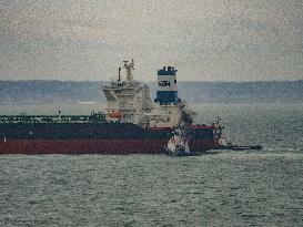 International Maritime Traffic At The Port Of Le Havre - France