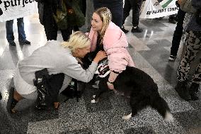 FINLAND - ISRAEL - PALESTINIANS - CONFLICT - DIPLOMACY - AID - FLOTILLA