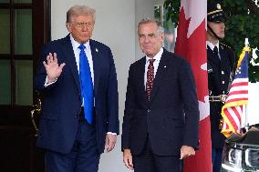 Donald Trump greets Mark Carney - Washington