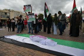 Pro-Palestine Demonstrations on the Two-year Israel Attack by Hamas