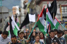 Pro-Palestine Demonstrations on the Two-year Israel Attack by Hamas