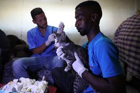 Volunteer Veterinarians Treat Animals in The Gaza Strip