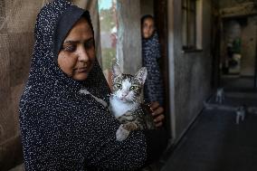 Volunteer Veterinarians Treat Animals in The Gaza Strip
