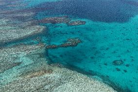 Huangyan Dao National Nature Reserve - China