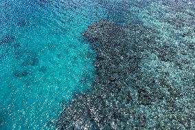 Huangyan Dao National Nature Reserve - China