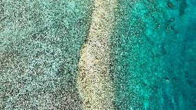 Huangyan Dao National Nature Reserve - China