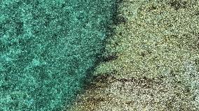 Huangyan Dao National Nature Reserve - China