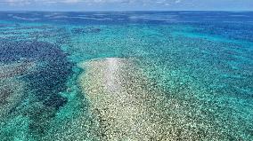 Huangyan Dao National Nature Reserve - China