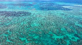 Huangyan Dao National Nature Reserve - China