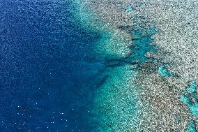 Huangyan Dao National Nature Reserve - China