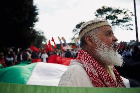 Pro-Palestine Demonstrations on the Two-year Israel Attack by Hamas