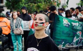 Pro-Palestine Demonstrations on the Two-year Israel Attack by Hamas