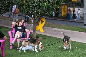 Daily Life in Tel Aviv - Israel