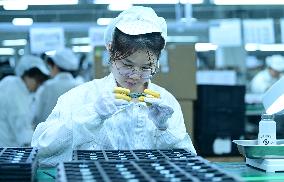 Lithium Battery Production in Hai'an