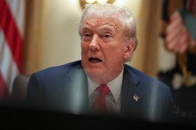 DC: President Trump Holds Cabinet Meeting