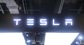 Tesla Optimus Humanoid Robot Suspend Production