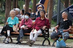 Chinese Population Life Expectancy Increased