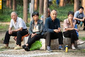 Chinese Population Life Expectancy Increased