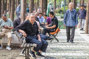 Chinese Population Life Expectancy Increased
