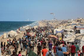 Palestinians Returning to Gaza City - Palestine