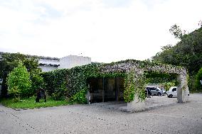 THE CROWN PRINCESS ON NAOSHIMA ISLAND