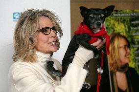 Darling Companion Premiere - Los Angeles