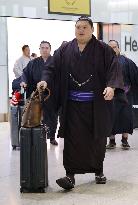 Sumo: London tournament