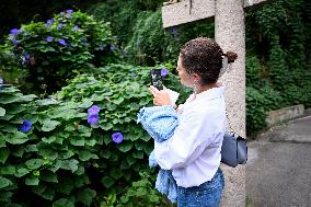 THE CROWN PRINCESS COUPLE ON NAOSHIMA ISLAND