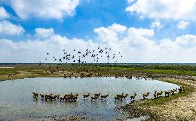 Autumn Scenery - China