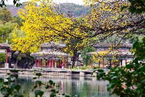 Autumn Scenery - China