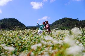 Autumn Scenery - China