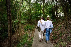 THE CROWN PRINCESS OF TESHIMA