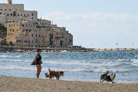 Charles Clore Beach in Tel Avi