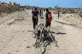 Displaced Palestinians Returning North After Ceasefire - Gaza