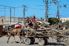 Displaced Palestinians Returning North After Ceasefire - Gaza