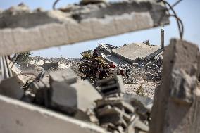 Displaced Palestinians Returning North After Ceasefire - Gaza