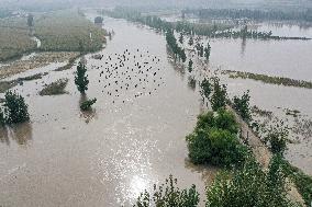 Rainstorm Hit Yuncheng