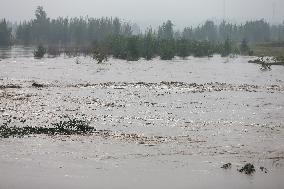 Rainstorm Hit Yuncheng